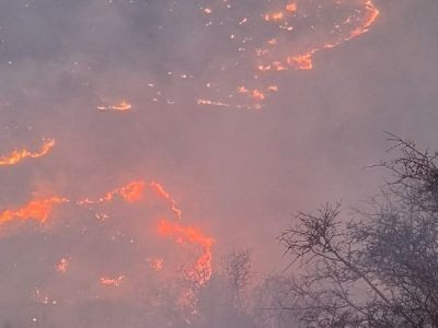 آتش‌سوزی شره زول در شهرستان ایوان مهار شد 