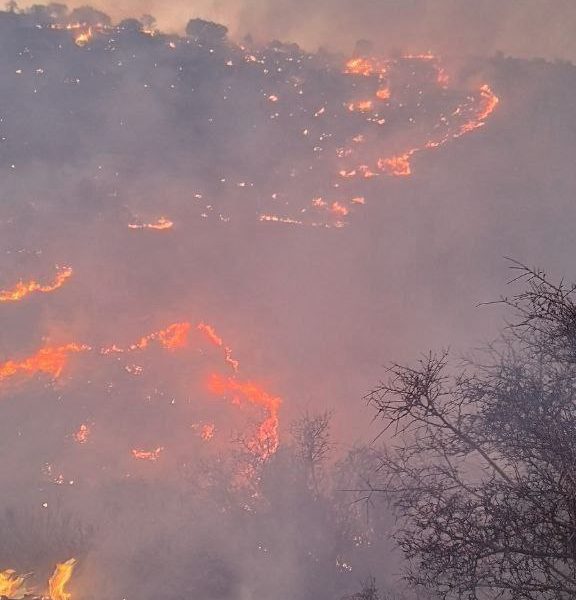 آتش‌سوزی شره زول در شهرستان ایوان مهار شد 