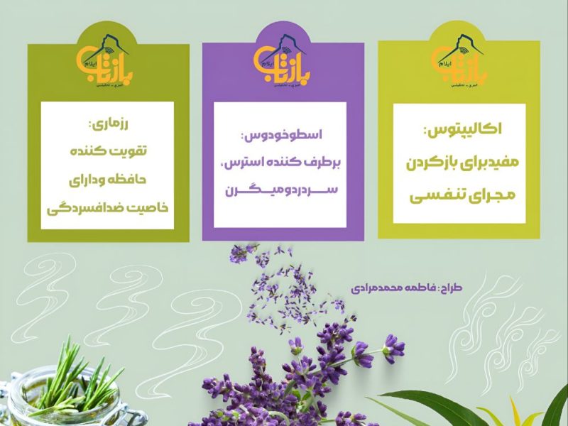 اینفوگرافی/قدرت شفا در سه بخور گیاهی