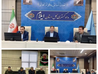 ۴۶ تن مرغ تنظیم بازار در ایلام وارد چرخه عرضه و توزیع شد