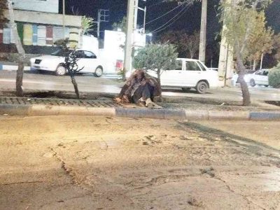 قصه پرغصه این مرد/به این همه دل‌آزاری پایان دهید!