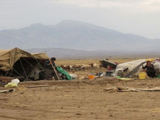 سیلاب بخش عشایری ایلام را متضرر کرد