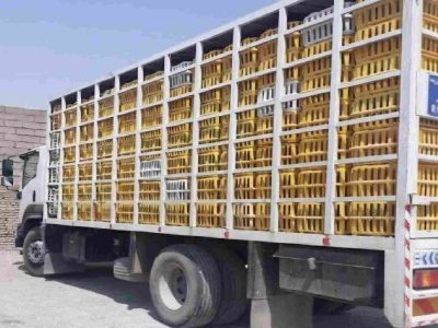 جریمه ۴۴ میلیارد ریالی یک واحد مرغداری متخلف در ایلام 