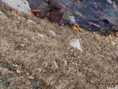 نبرد جانانه جوانان روستای چغاکبود چوار برای نجات طبیعت از چنگال آتش بی‌رحم