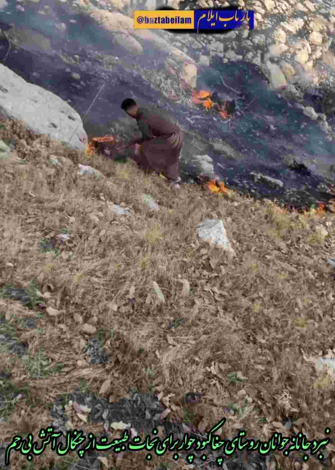 نبرد جانانه جوانان روستای چغاکبود چوار برای نجات طبیعت از چنگال آتش بی‌رحم