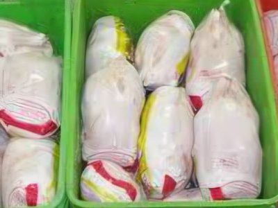 انبار ۴۰ تن مرغ احتکارشده در سردخانه ایوان لو رفت