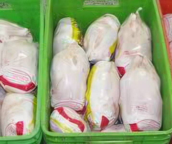 انبار ۴۰ تن مرغ احتکارشده در سردخانه ایوان لو رفت