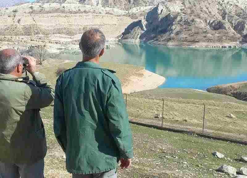 آغاز پایش زیستگاه‌های آبی پرندگان مهاجر در ایلام