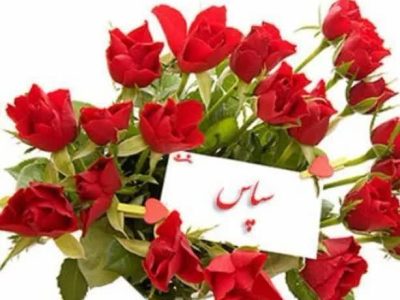 سپاسگزارتان هستیم