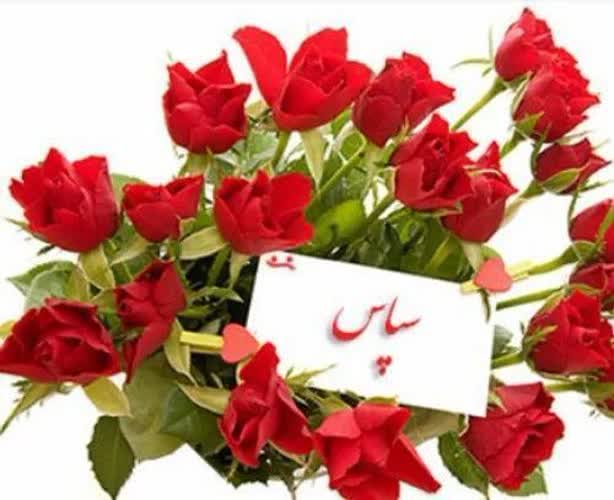 سپاسگزارتان هستیم