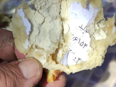 نظارت‌ها را بیشتر کنید/نان با طعم کاغذ و ….!