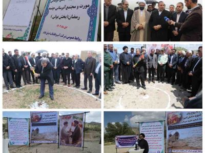کلنگی که تقریباً هر سه سال یک‌بار فرود می‌آید!