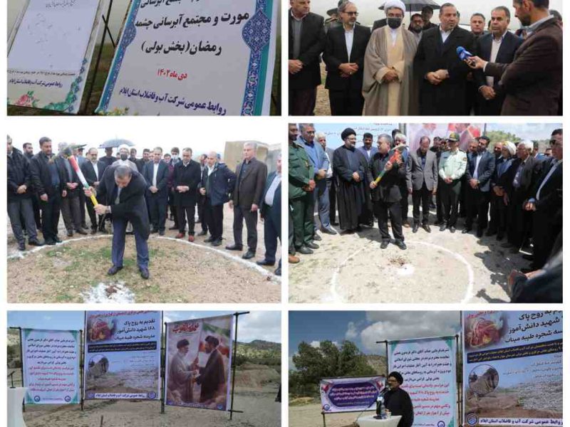 کلنگی که تقریباً هر سه سال یک‌بار فرود می‌آید!