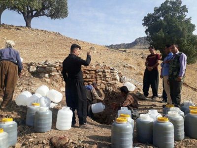 بهره‌برداران محصول سقز در استان ایلام را دریابید/مجوز بهره‌برداری صادر کنید
