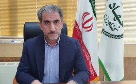 خرید تضمینی ۹۰ هزار تن گندم از کشاورزان ایلامی