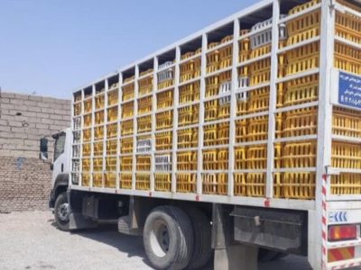 توقیف ۱۵۳۰ کیلوگرم مرغ خارج از شبکه در ملکشاهی