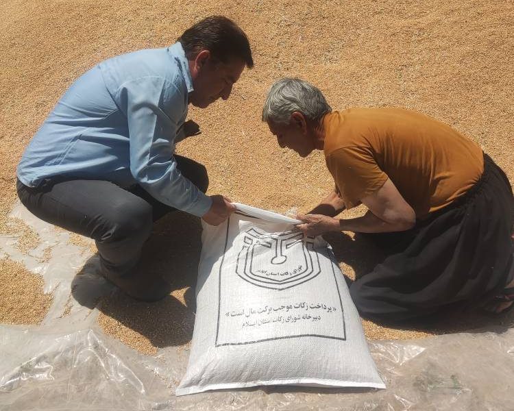 جمع آوری ۲۵ میلیارد تومان وجوهات زکات در ایلام