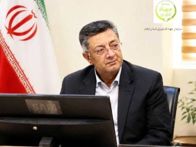 ره‌آوا امکان رصد کامل زنجیره مرغ را فراهم می‌کند